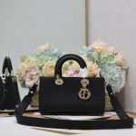 Dior Fashion Bag