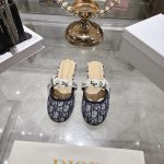 Dior Fashion Shoes