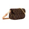 Louis Vuitton Wallet on Chain Ivy Monogram Canvas